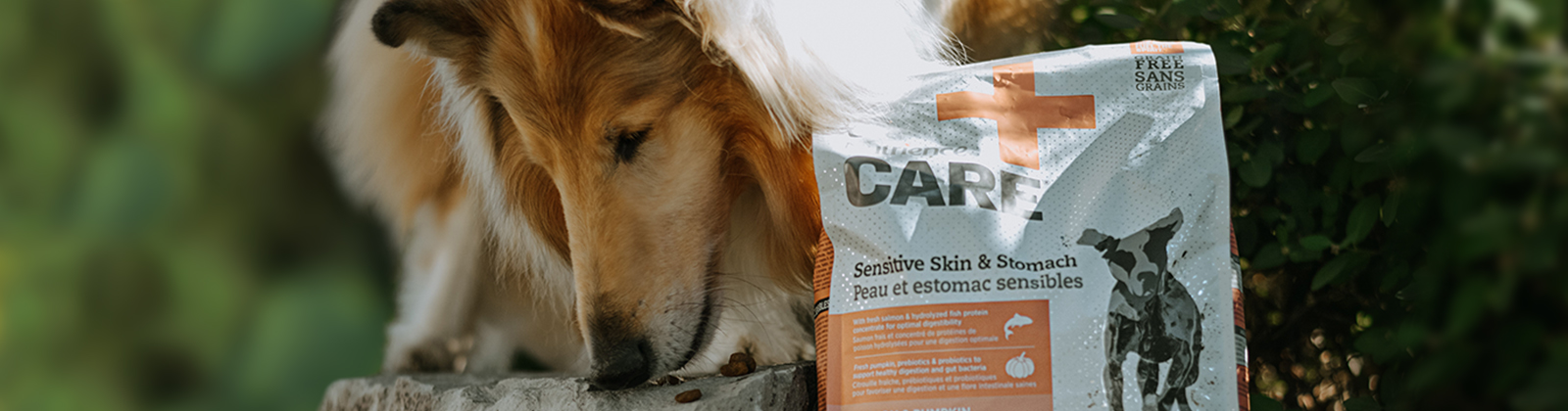 Nutrience Care Urinary Health cat