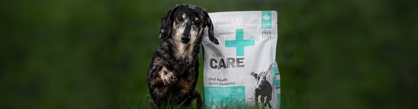 Nutrience Care Urinary Health cat