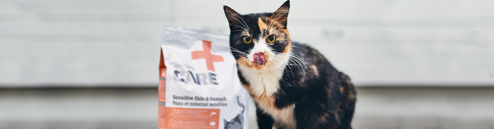 Nutrience Care Urinary Health cat