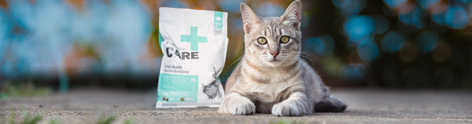 Nutrience Care Urinary Health cat
