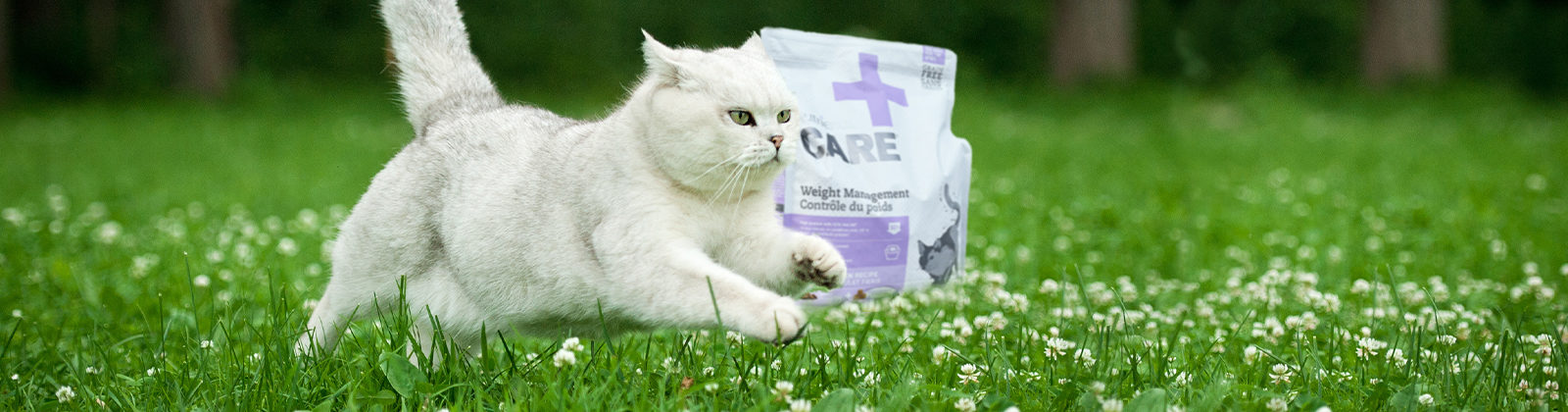 Nutrience Care Urinary Health cat