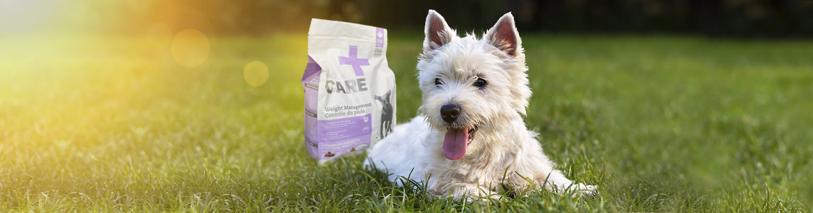 Nutrience Care Urinary Health cat