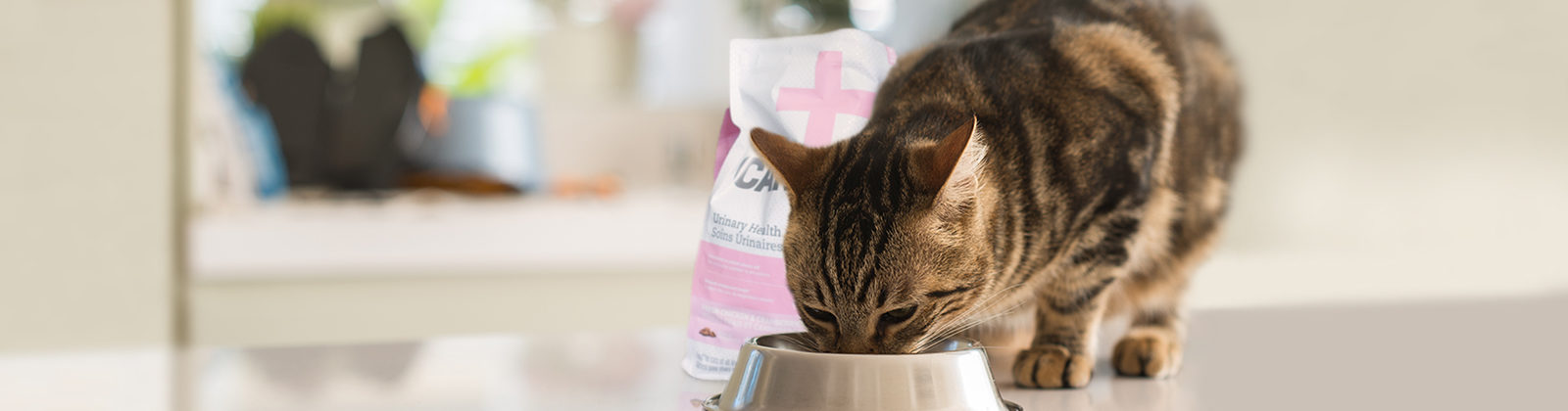 Nutrience Care Urinary Health cat
