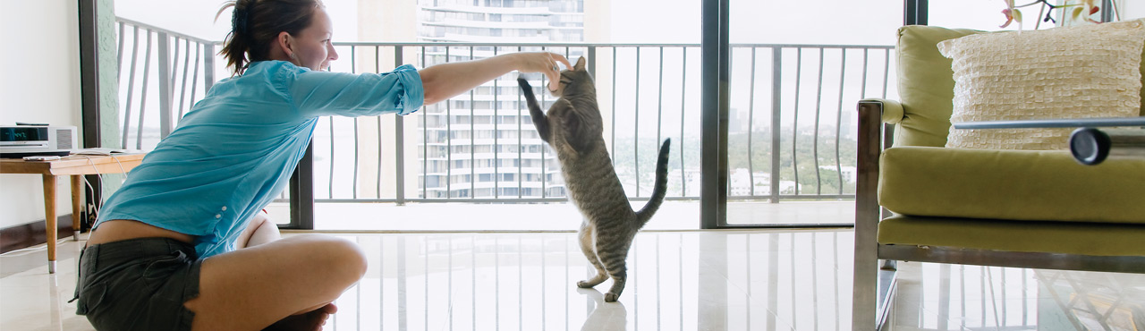 Nutrience Care Urinary Health cat