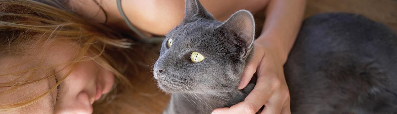 Nutrience Care Urinary Health cat